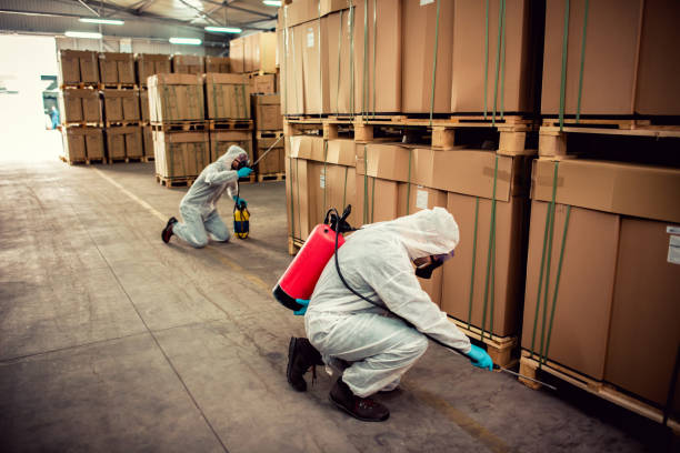 Best Pest Control for Restaurants  in Lawrencevle, IL