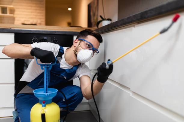 Pest Control for Restaurants in Lawrenceville, IL