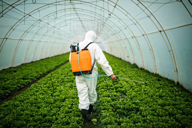 Best Best Pest Control Companies  in Lawrencevle, IL