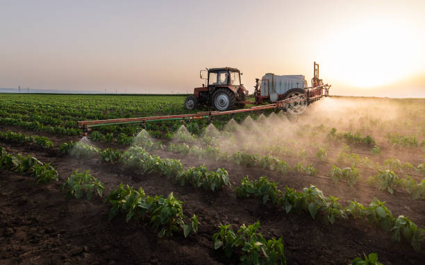 Best Mosquito Control Services  in Lawrencevle, IL
