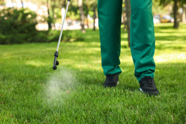Best Pest Prevention Services  in Lawrencevle, IL