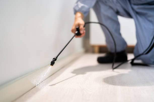 Best Residential Pest Control  in Lawrencevle, IL