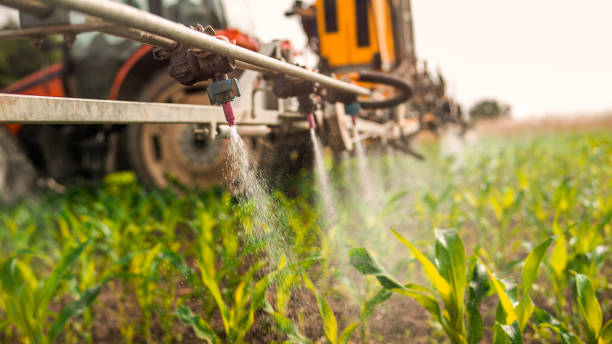 Reliable Lawrenceville, IL Pest Control Solutions
